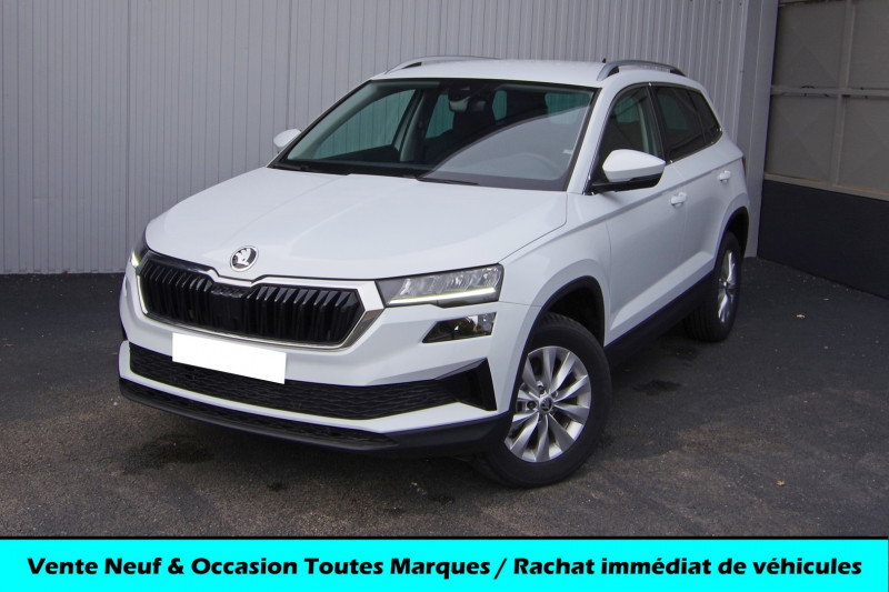 Skoda KAROQ 2.0 TDI 116  SELECTION Diesel BLANC Occasion à vendre