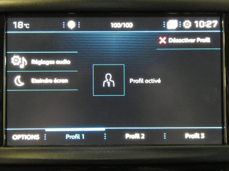 Photo 21 de l'offre de PEUGEOT 208 Affaire 1.5 BlueHDi 100 Premium Pack à 12590€ chez Autovia Véhicules Multimarques