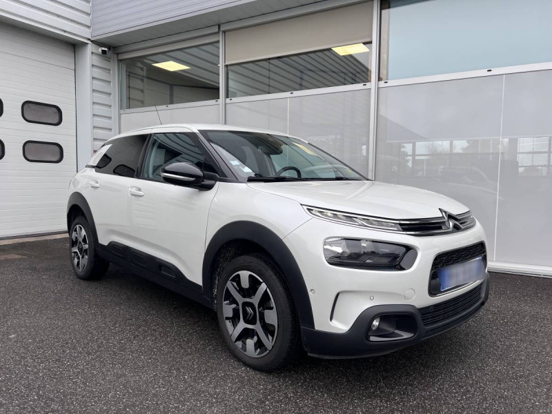 Citroen C4 Cactus BlueHDi 120 S&S EAT6 Shine Business Diesel Blanc Occasion à vendre