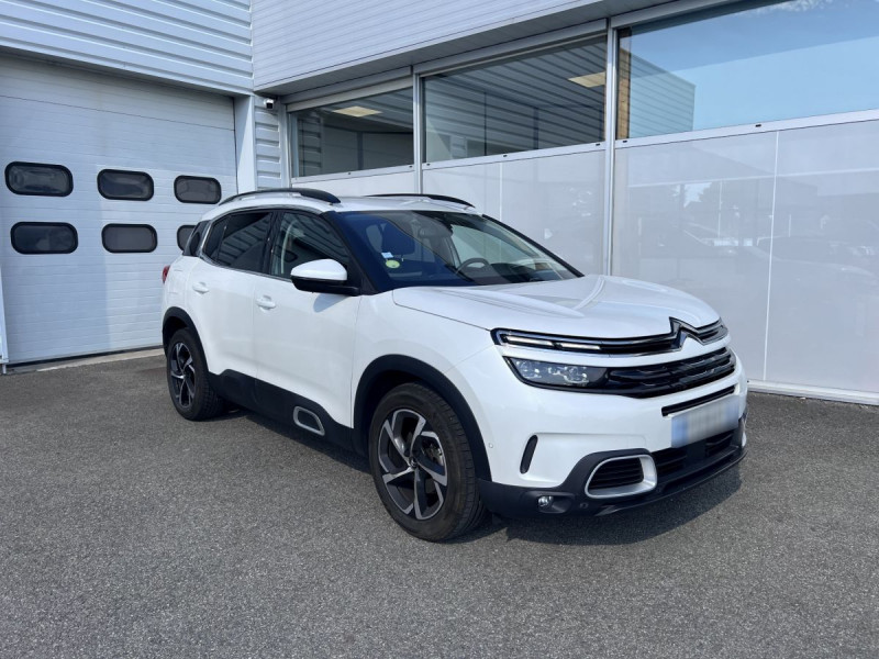 Citroen C5 Aircross BlueHDi 130 S&S EAT8 Business + Diesel Blanc Occasion à vendre