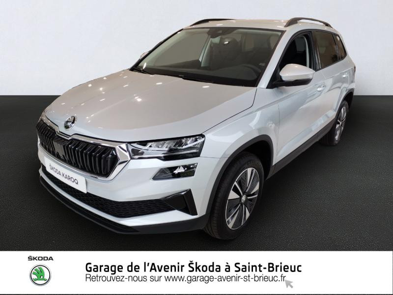 Skoda Karoq 1.0 TSI 110ch Ambition Essence Gris Argent métallisée Occasion à vendre